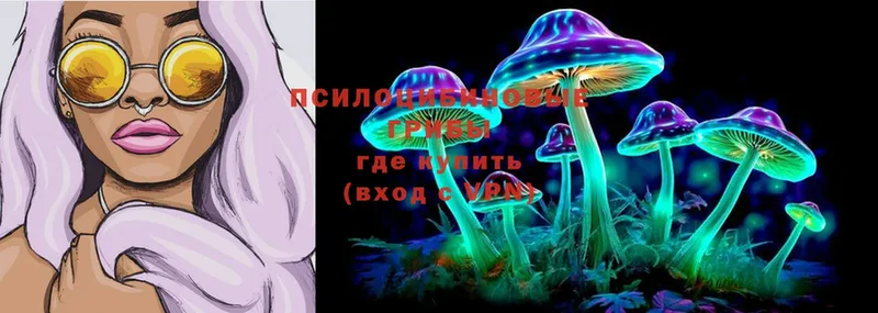 Псилоцибиновые грибы Psilocybe  Кыштым 